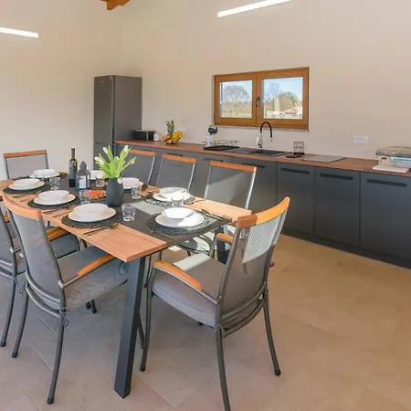 Relaxing Pool Mattuzzi In ヴィラ Loborika